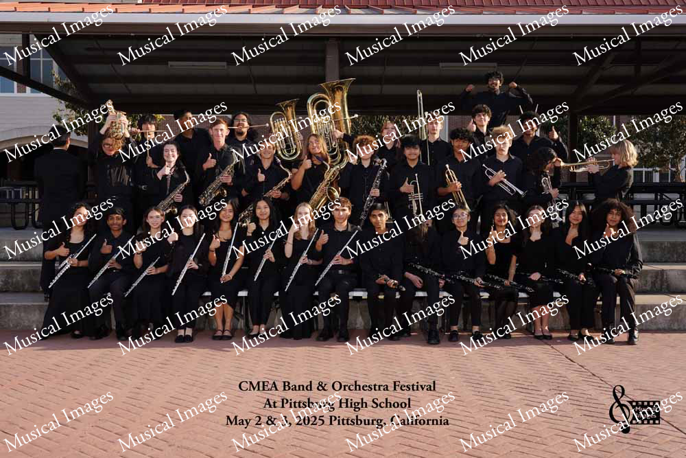 Musical Images